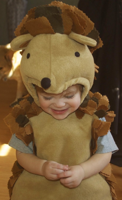 hedgehog-toddler-costume